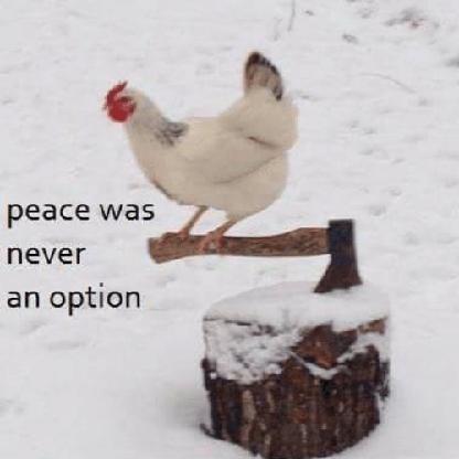 ShingamiChicken's avatar