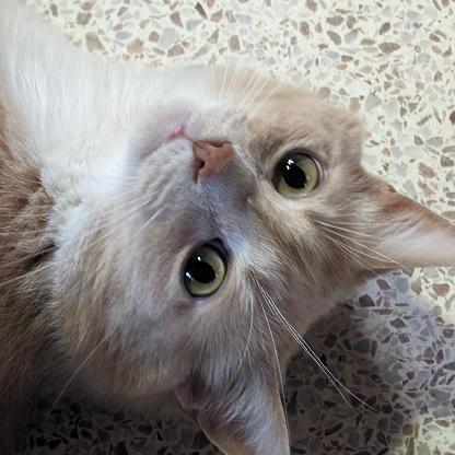 nv2u171uufp2's avatar