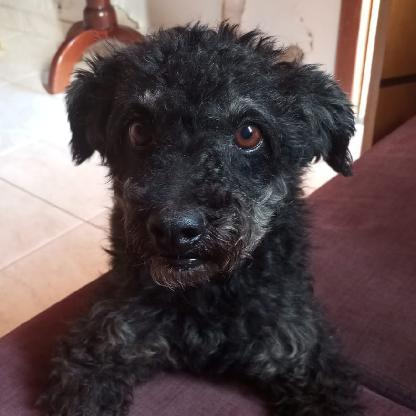 matheuSne456's avatar