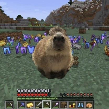 iamduckyplayz's avatar