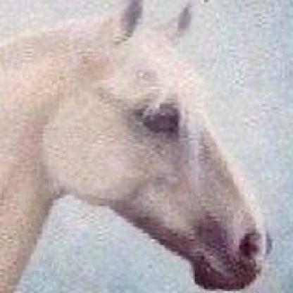 PAMHUNTER1954's avatar