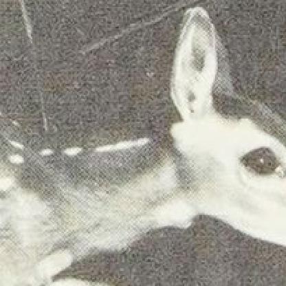 ybqb17qwldn0's avatar