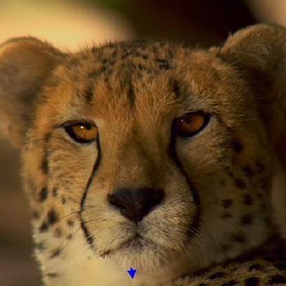 Merlin33555's avatar