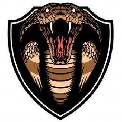 Cobra2Actual's avatar