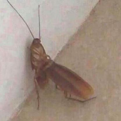 landocalrssian's avatar