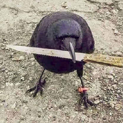 AOD_0ldmanGamer's avatar