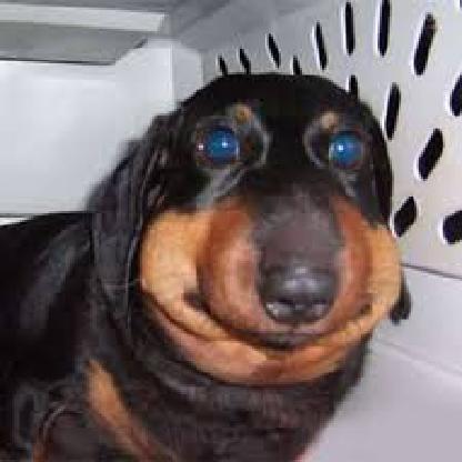 Hxzed_soulll's avatar