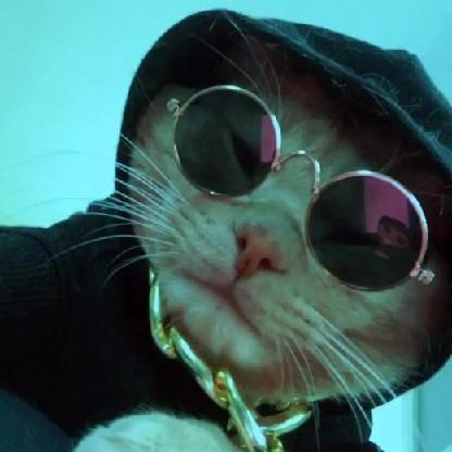 CaptainNogs's avatar