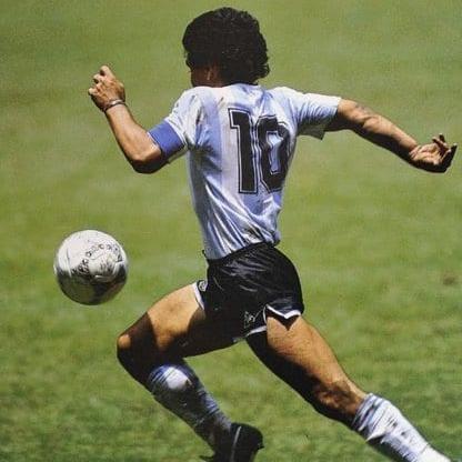 mushrooms96sp's avatar