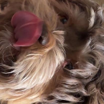 Floopey_flipy143's avatar