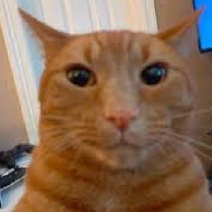 Alerwitz's avatar