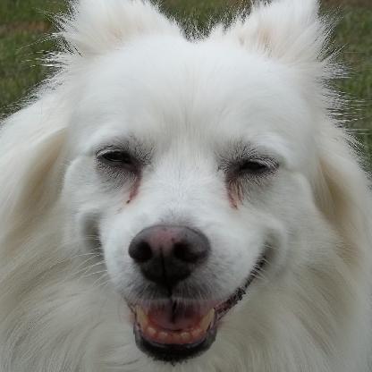 f5u1p3z6r1ug's avatar