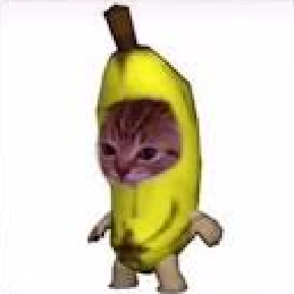 Riskybullets's avatar