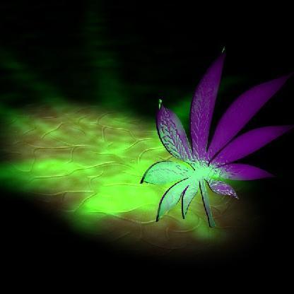 Blackice79's avatar
