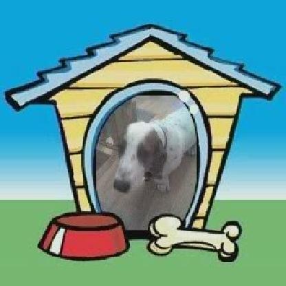 DominatorDale's avatar