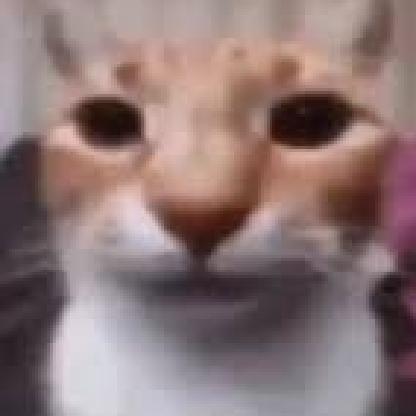 Niksetov11's avatar