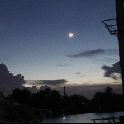 dgkvyquo5l5f's avatar