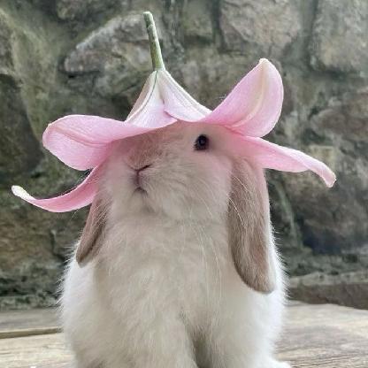 MissBunniee's avatar