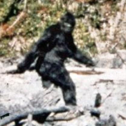 Sasquatch317's avatar