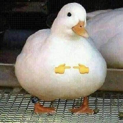 ThixxGator's avatar