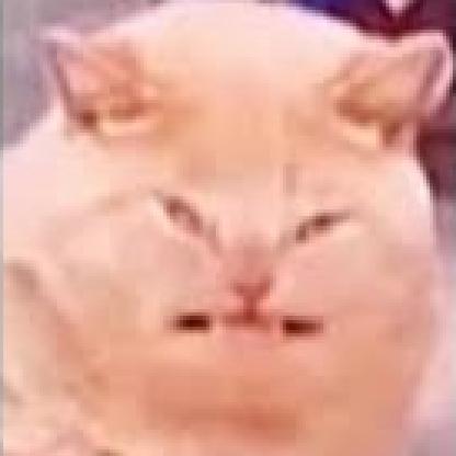 Pickle470's avatar