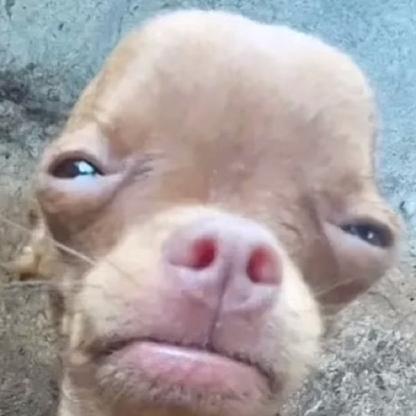 Mikezmz22's avatar