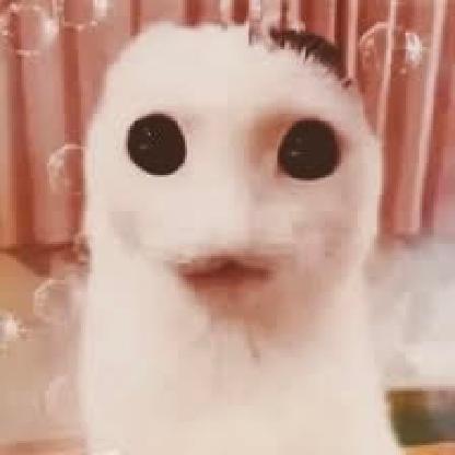 BingusMyBeloved6's avatar