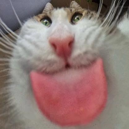 x_Bunster_x's avatar