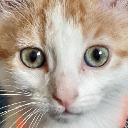 bvmiles's avatar