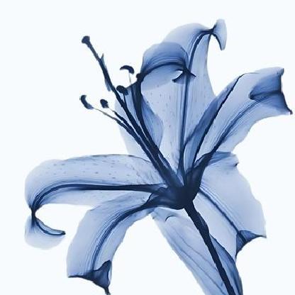 dwtsjdpe2t97's avatar