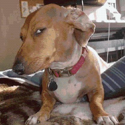 MadmanMacca404's avatar