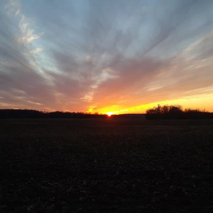 CylentStorm's avatar