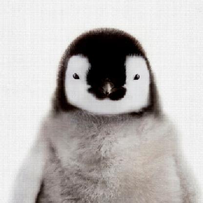 WaddlingPengwin's avatar