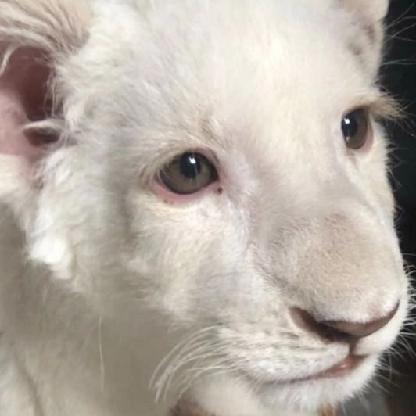 yuuuksi's avatar