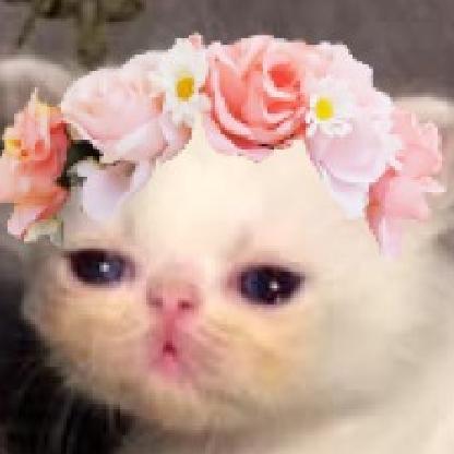 SupremeLordBinky's avatar