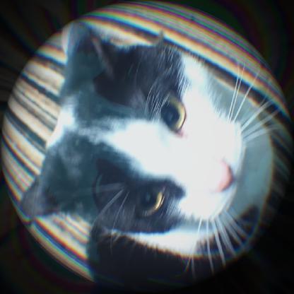 Ghoul_Silvrr's avatar