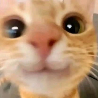 BRUHDAMNIT1's avatar