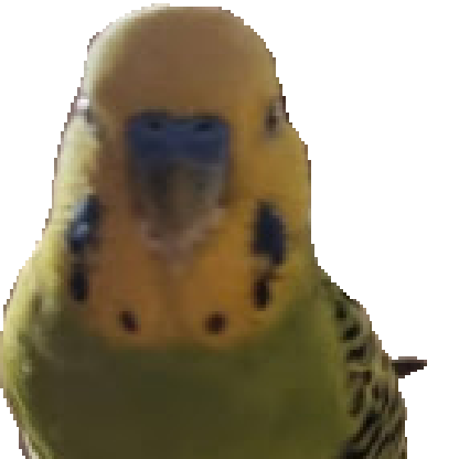 BicirikBey's avatar