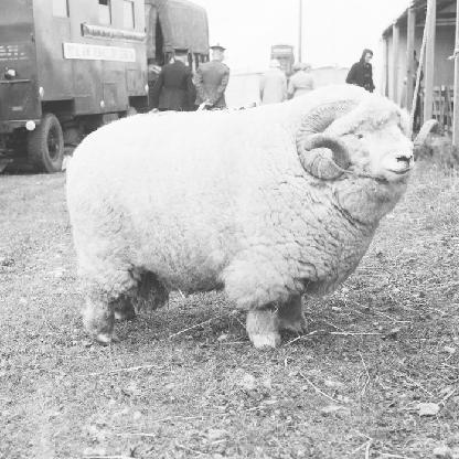 hablaespana's avatar