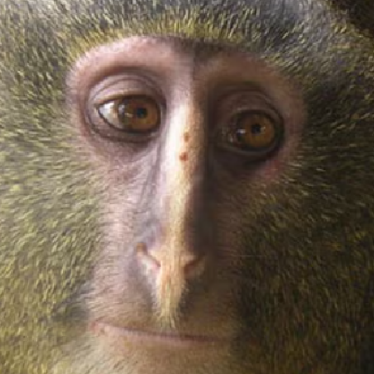 CrispyMunch's avatar