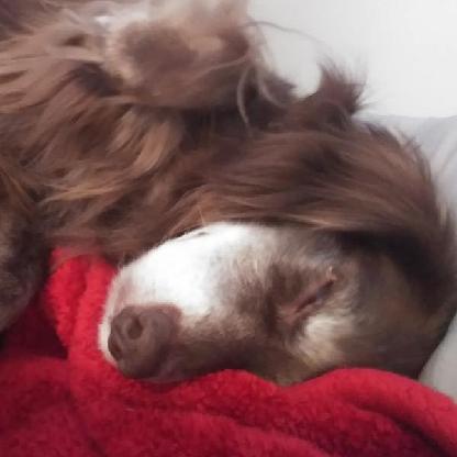 Cassie92018's avatar