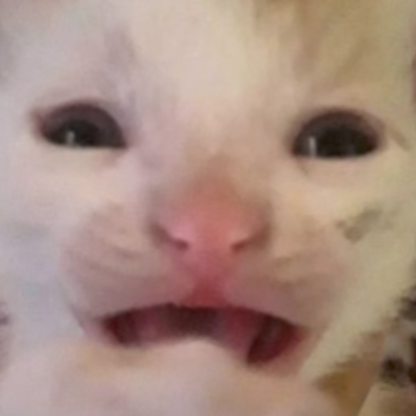 superhackerh's avatar