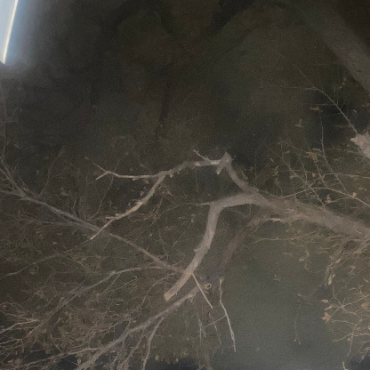 XZxxzrybbsadhnbc's avatar