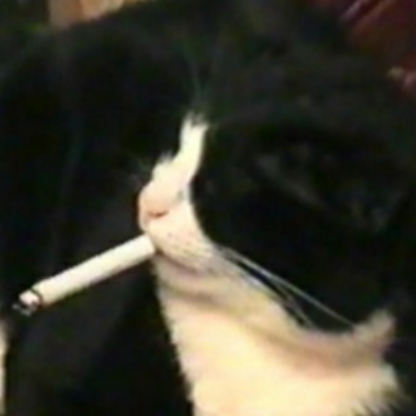 head_and_bullet's avatar