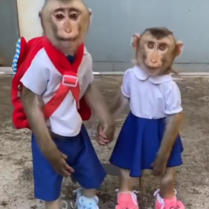 NotJustinzz's avatar