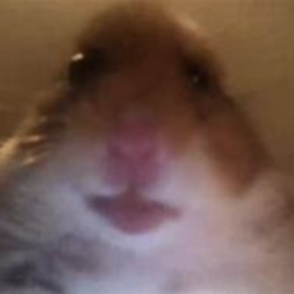 MexicanFotolvi's avatar