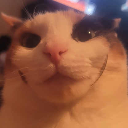 themiragegod's avatar