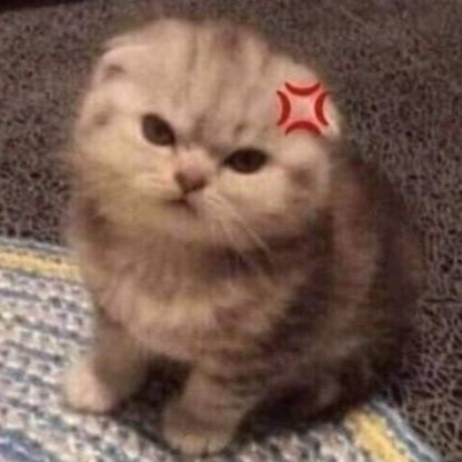 whysoogrumpy's avatar
