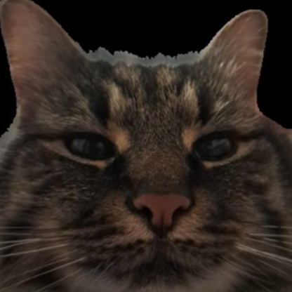 KapiGW's avatar