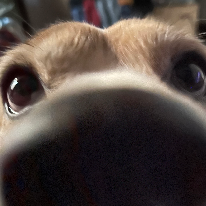 MATI_M0L's avatar